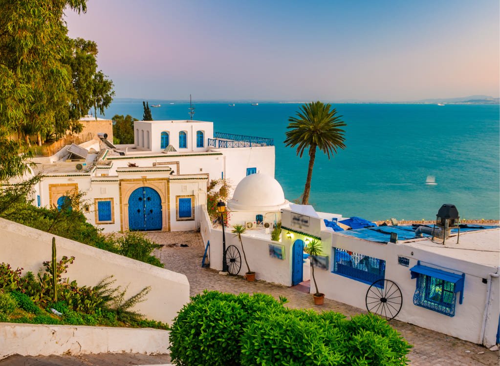 TUNISIA (Senior Voyage), 8 zile